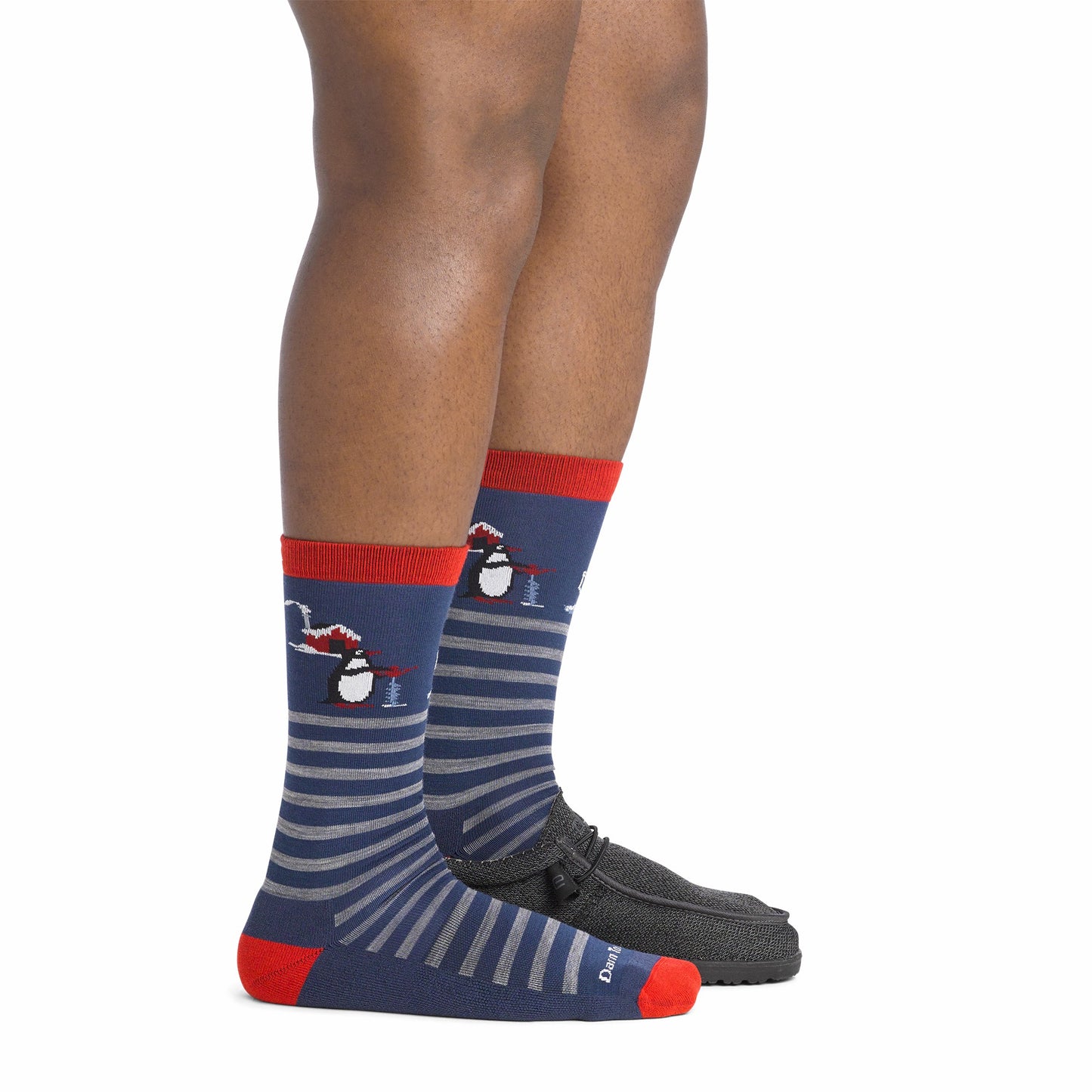 Men's Wild Life Crew Lightweight Lifestyle Socks | Darn Tough