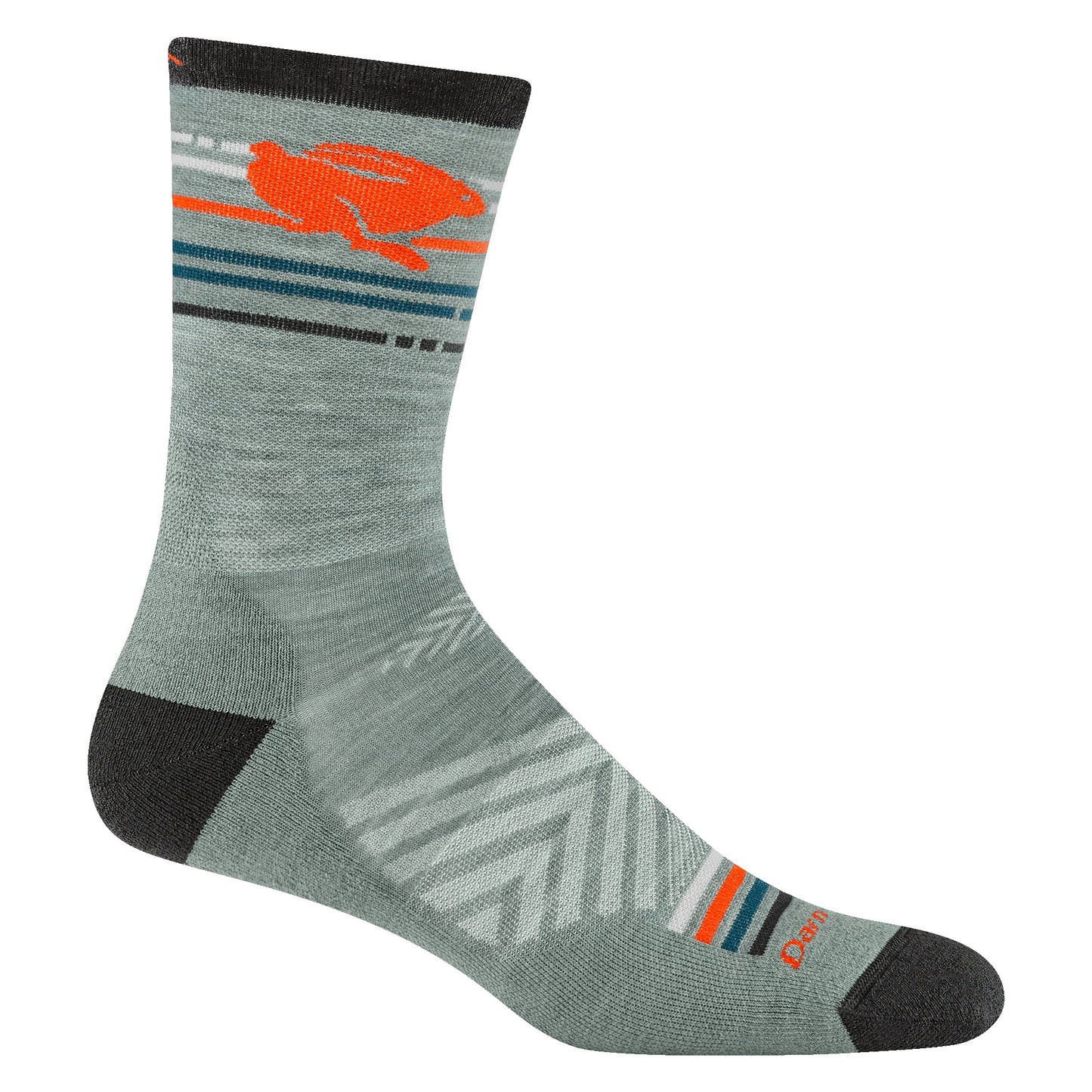 Men's and Women's Pacer 2-Pack Running Socks | Darn Tough