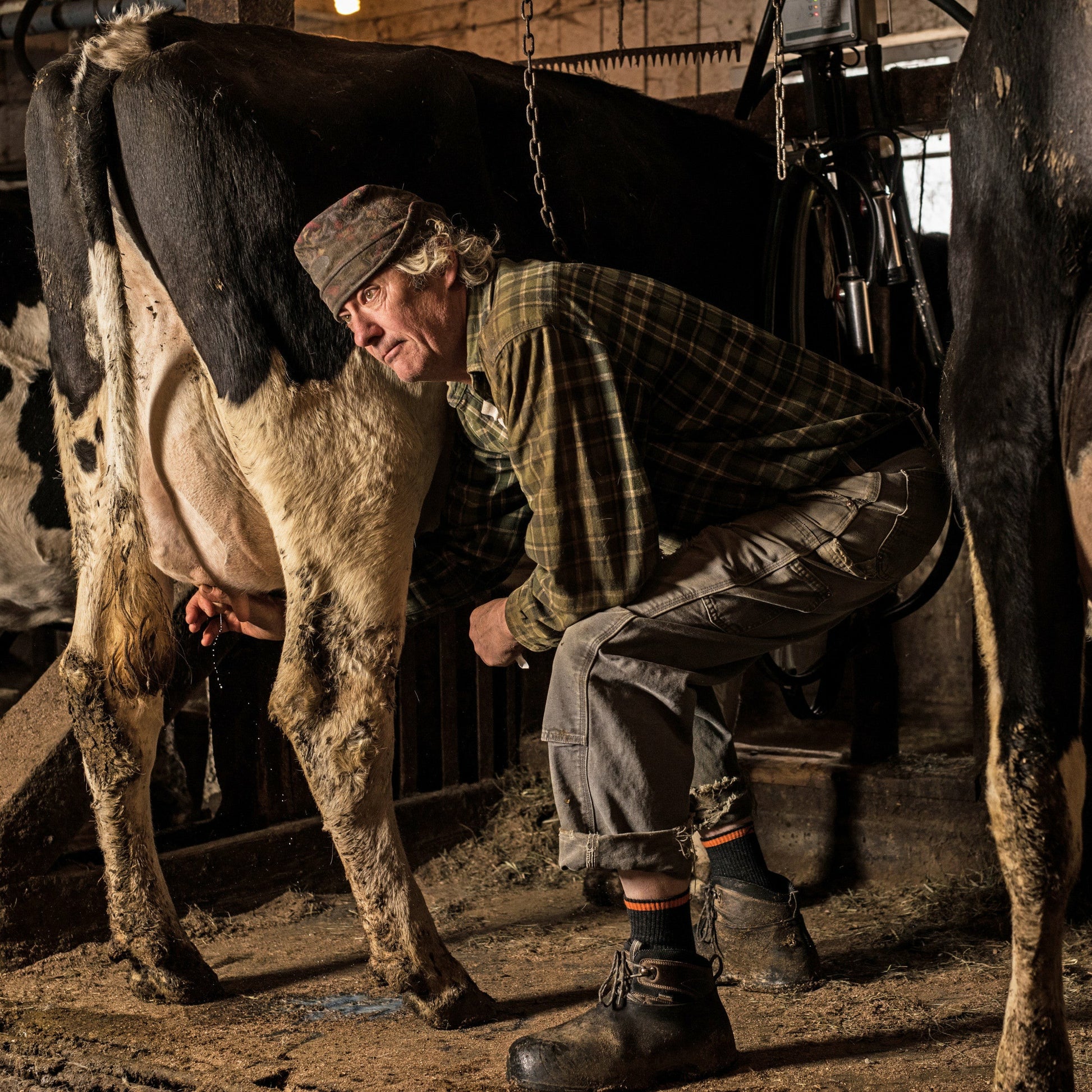 Men's Steely Boot Midweight Work Socks | Darn Tough