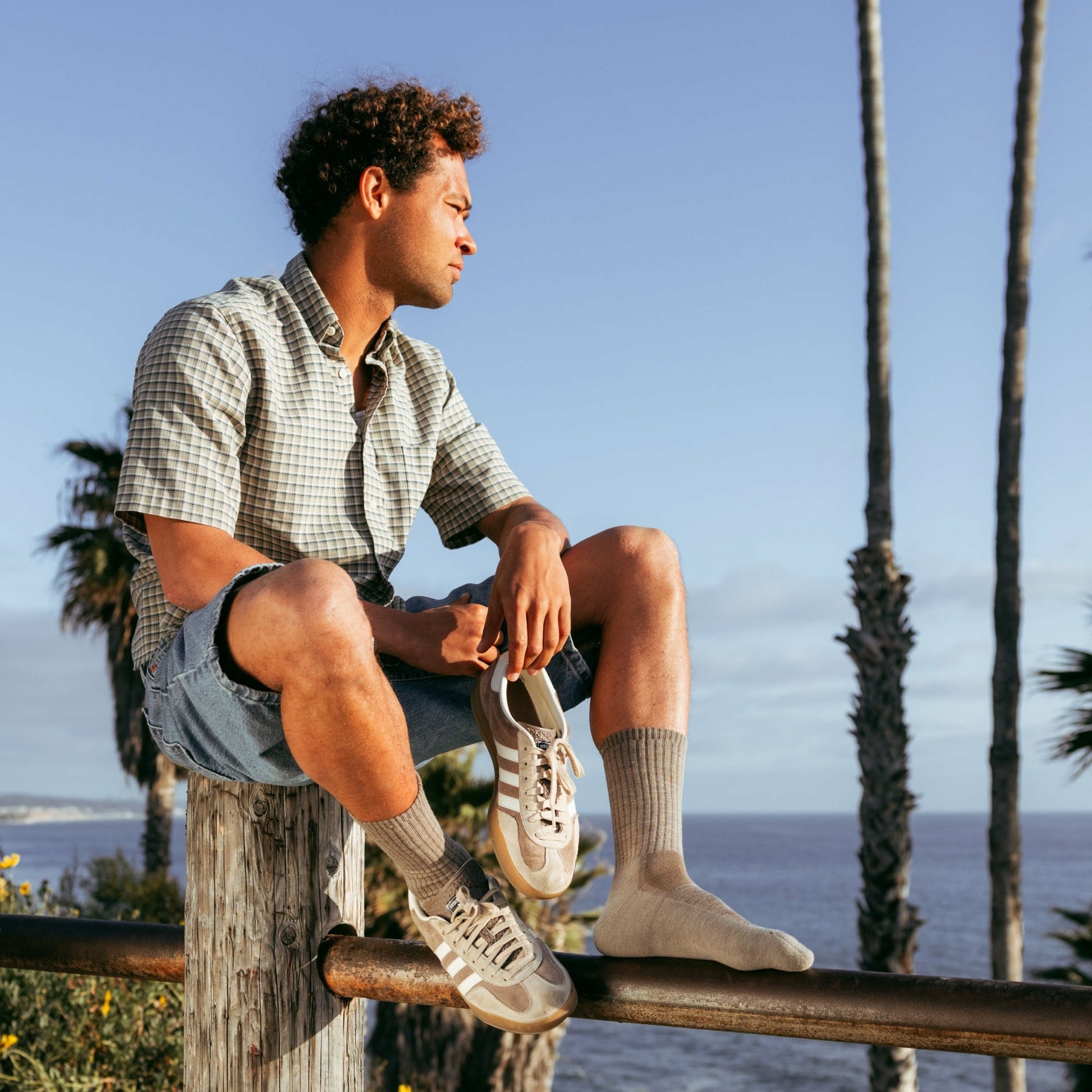 Men's The Standard Crew Cushioned Lightweight Lifestyle Socks | Darn Tough