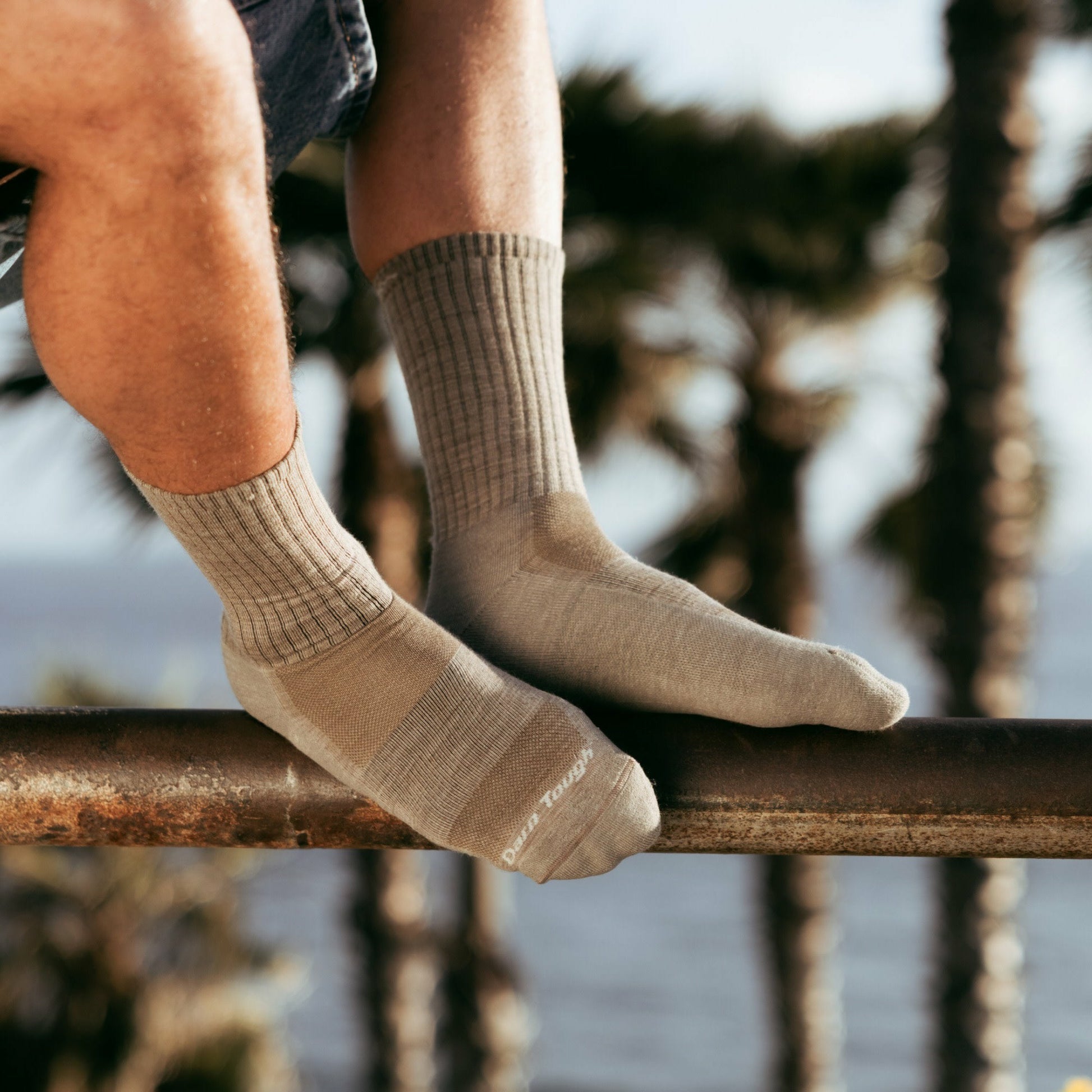 Men's The Standard Crew Cushioned Lightweight Lifestyle Socks | Darn Tough