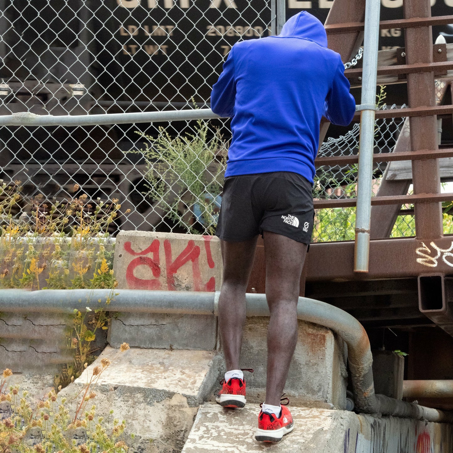 Men's Run No Show Tab Ultra-Lightweight Running Socks | Darn Tough