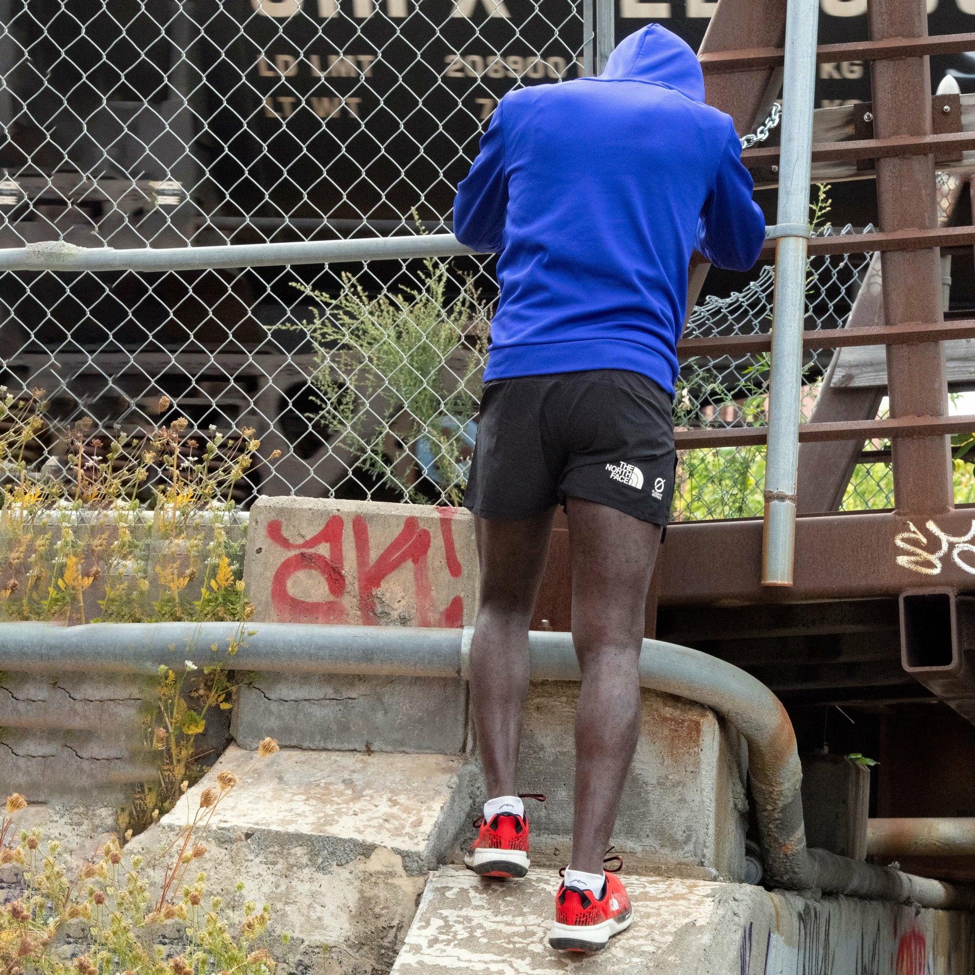 Men's Run No Show Tab Ultra-Lightweight Running Socks | Darn Tough