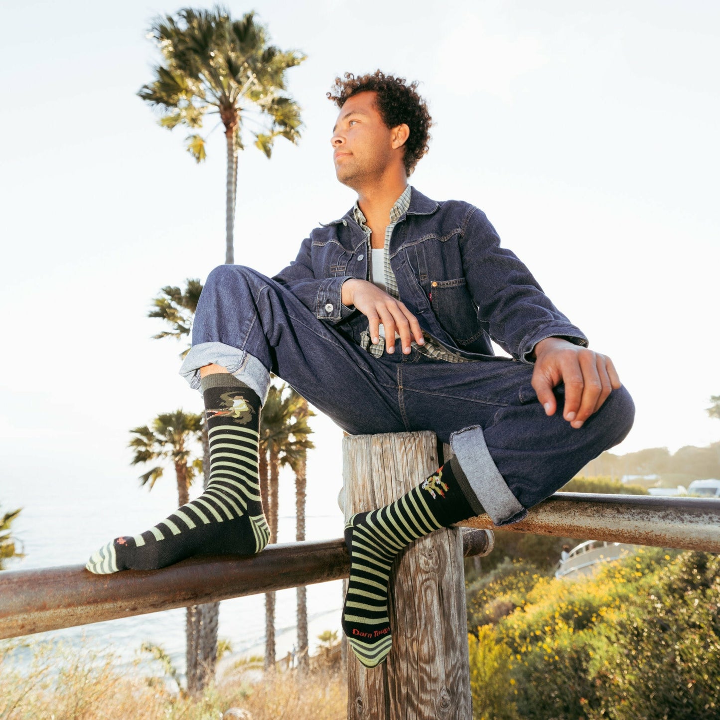 Men's Animal Haus Crew Lightweight Lifestyle Socks | Darn Tough
