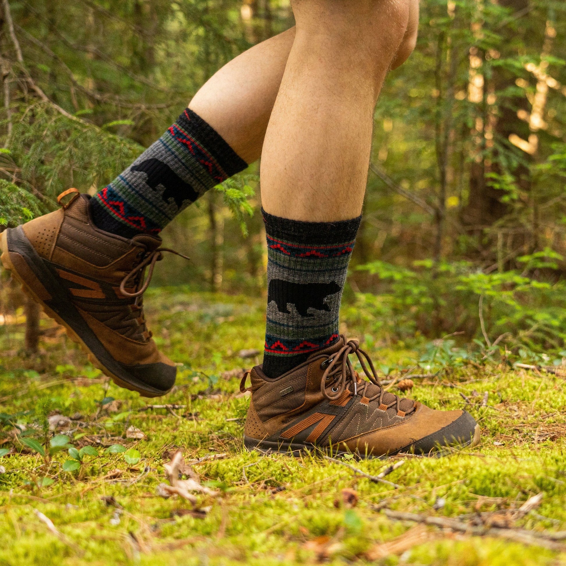 Men's and Women's Bear 2-Pack Hiking Socks | Darn Tough
