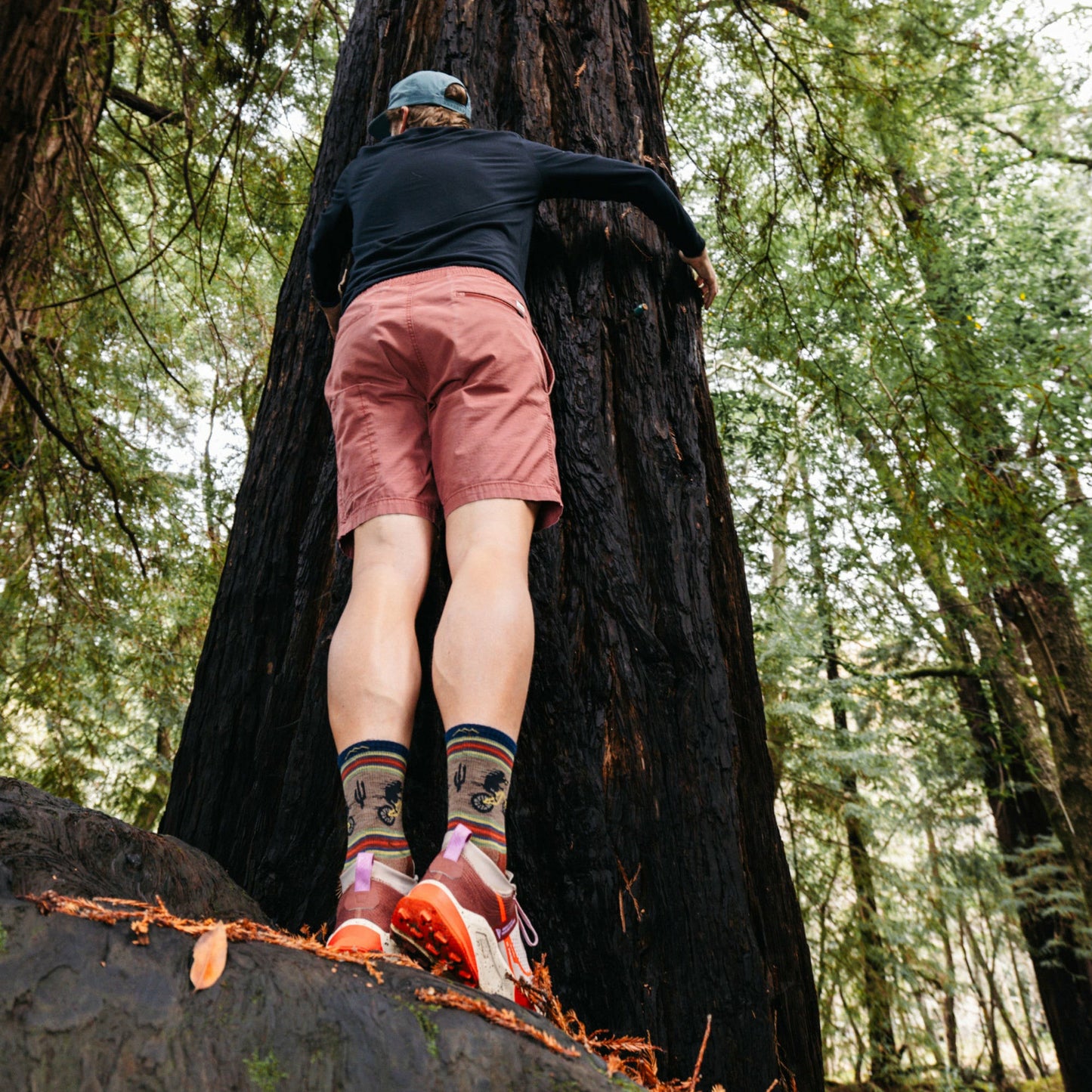 Men's Lightweight Micro Crew Hiking 2-Pack | Darn Tough