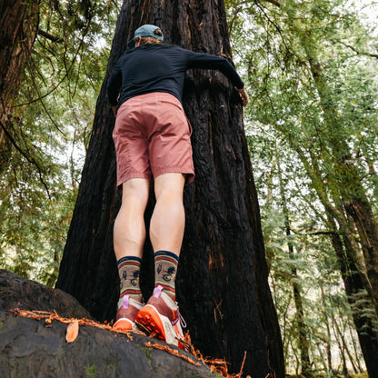 Men's Lightweight Micro Crew Hiking 2-Pack | Darn Tough