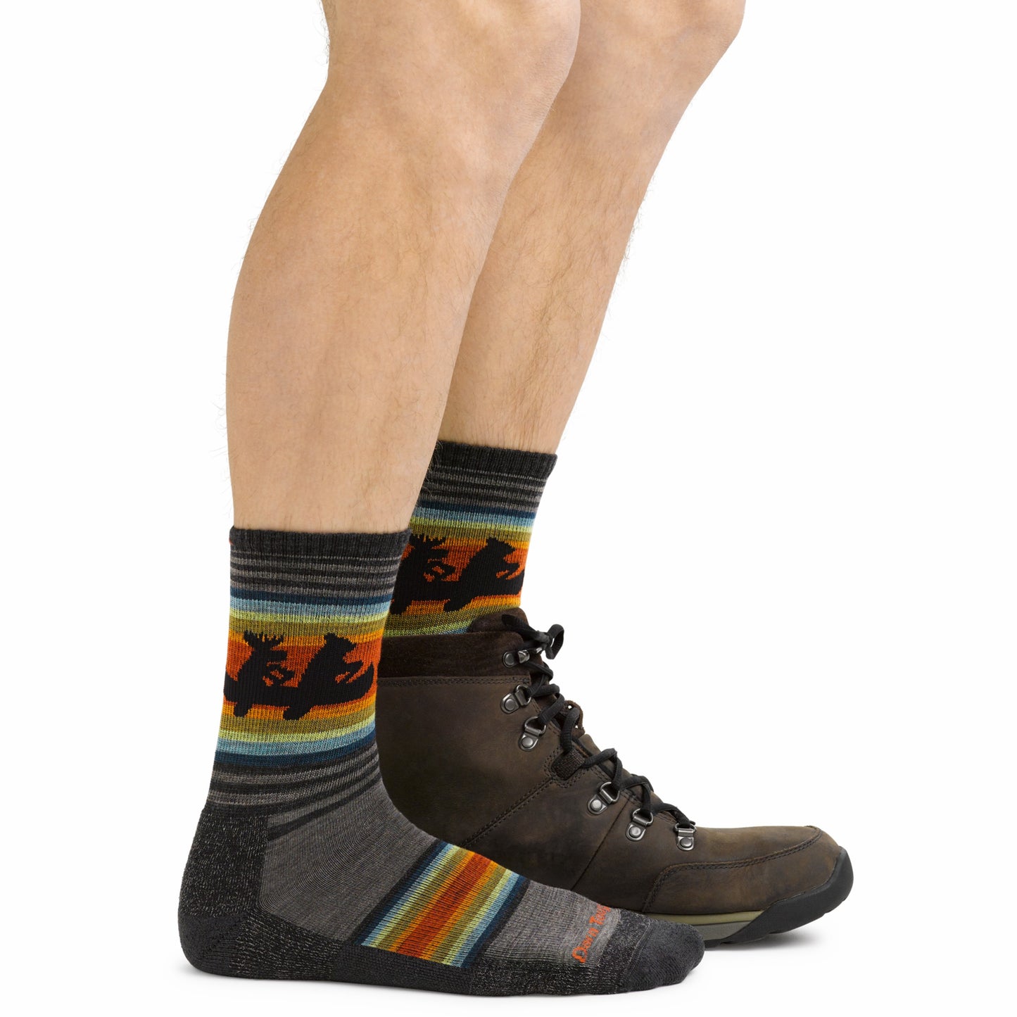Men's Willoughby Micro Crew Lightweight Hiking Socks | Darn Tough