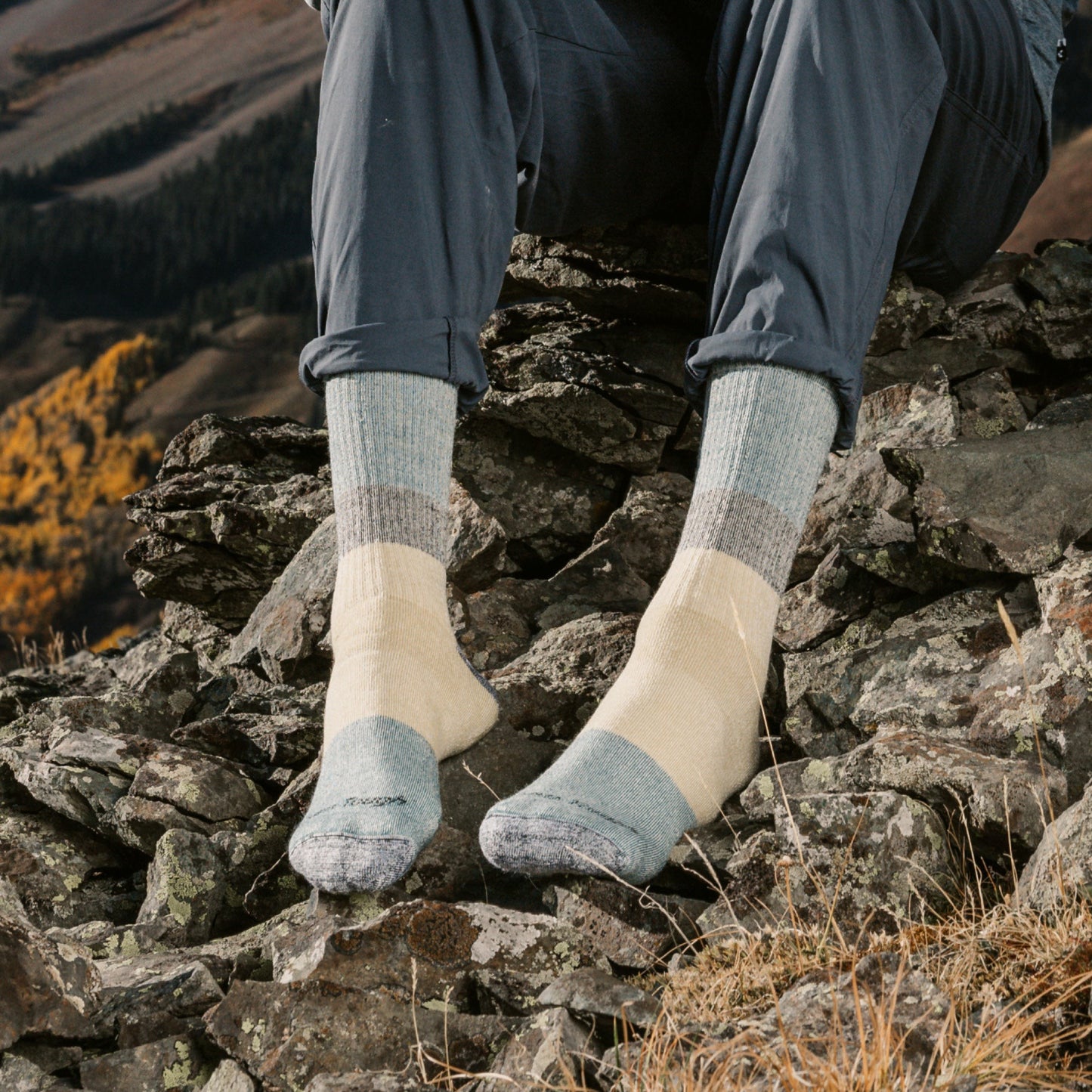 Men's Mountaineering Micro Crew Heavyweight Hiking Socks | Darn Tough