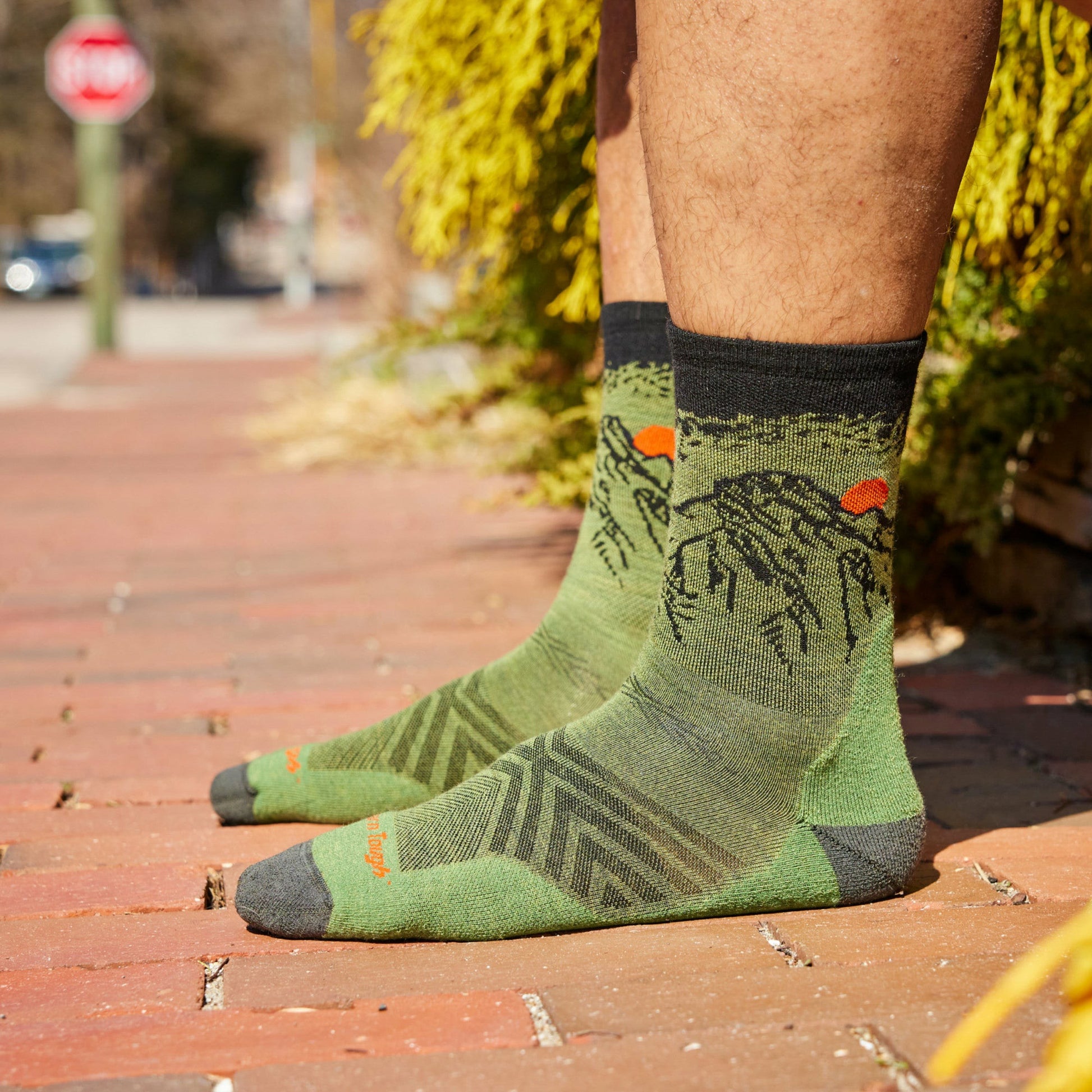 Men's Vert Micro Crew Ultra-Lightweight Running Socks | Darn Tough
