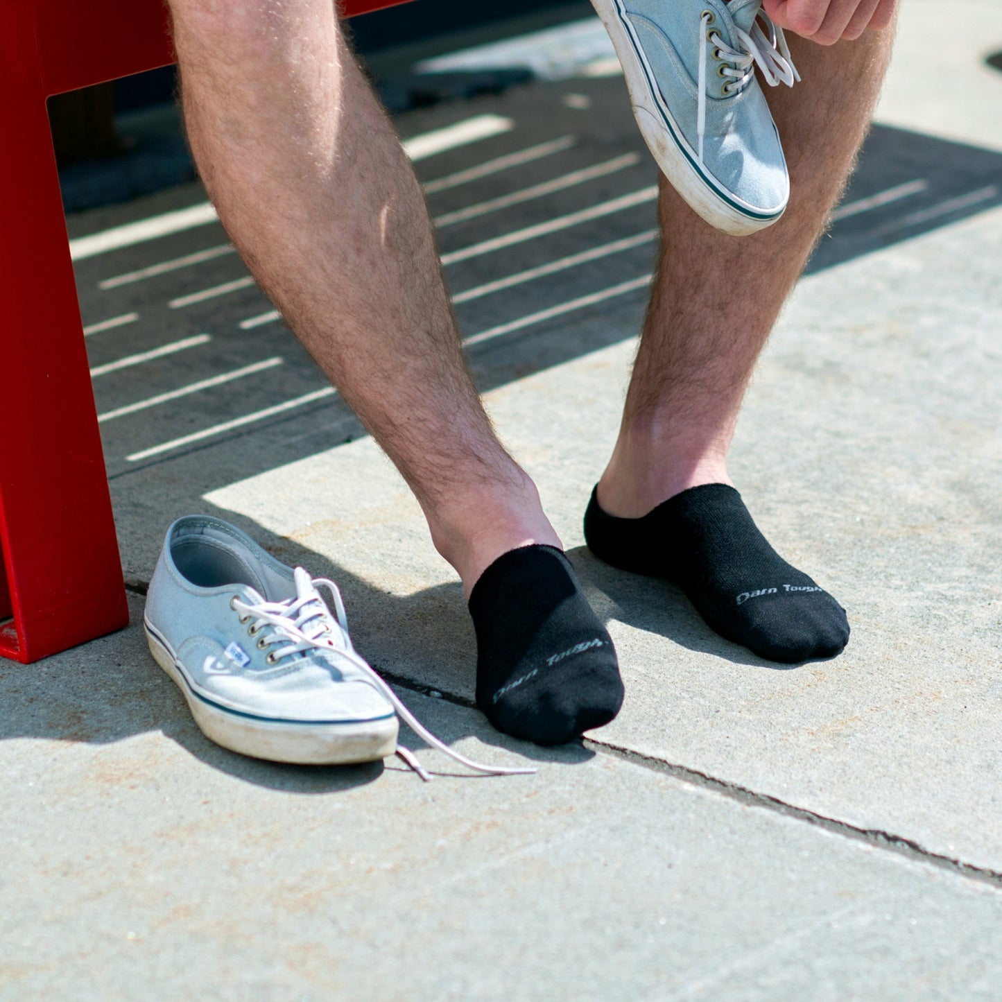 Men's Solid No Show Hidden Lightweight Lifestyle Socks | Darn Tough