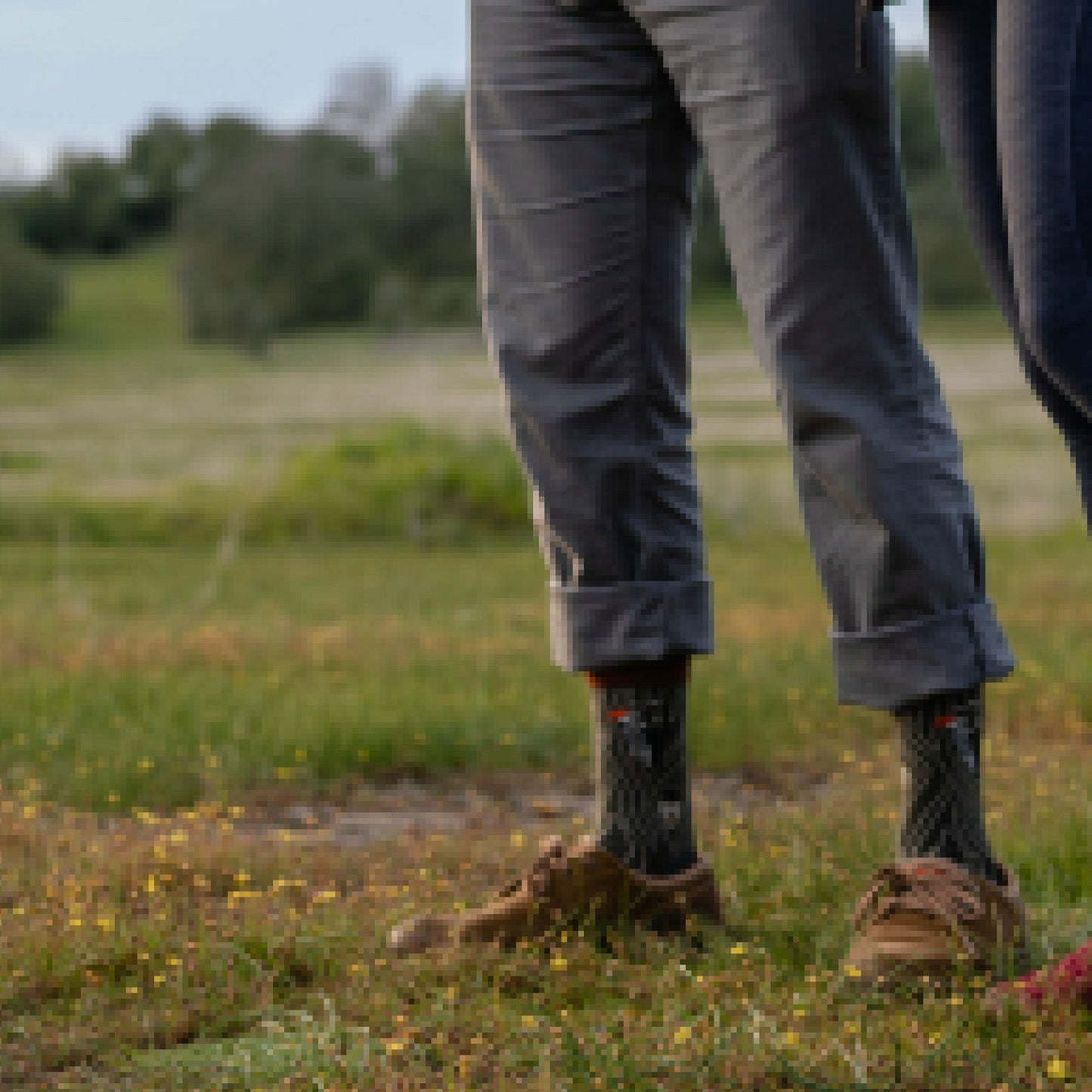 Men's Woody Crew Lightweight Lifestyle Socks | Darn Tough