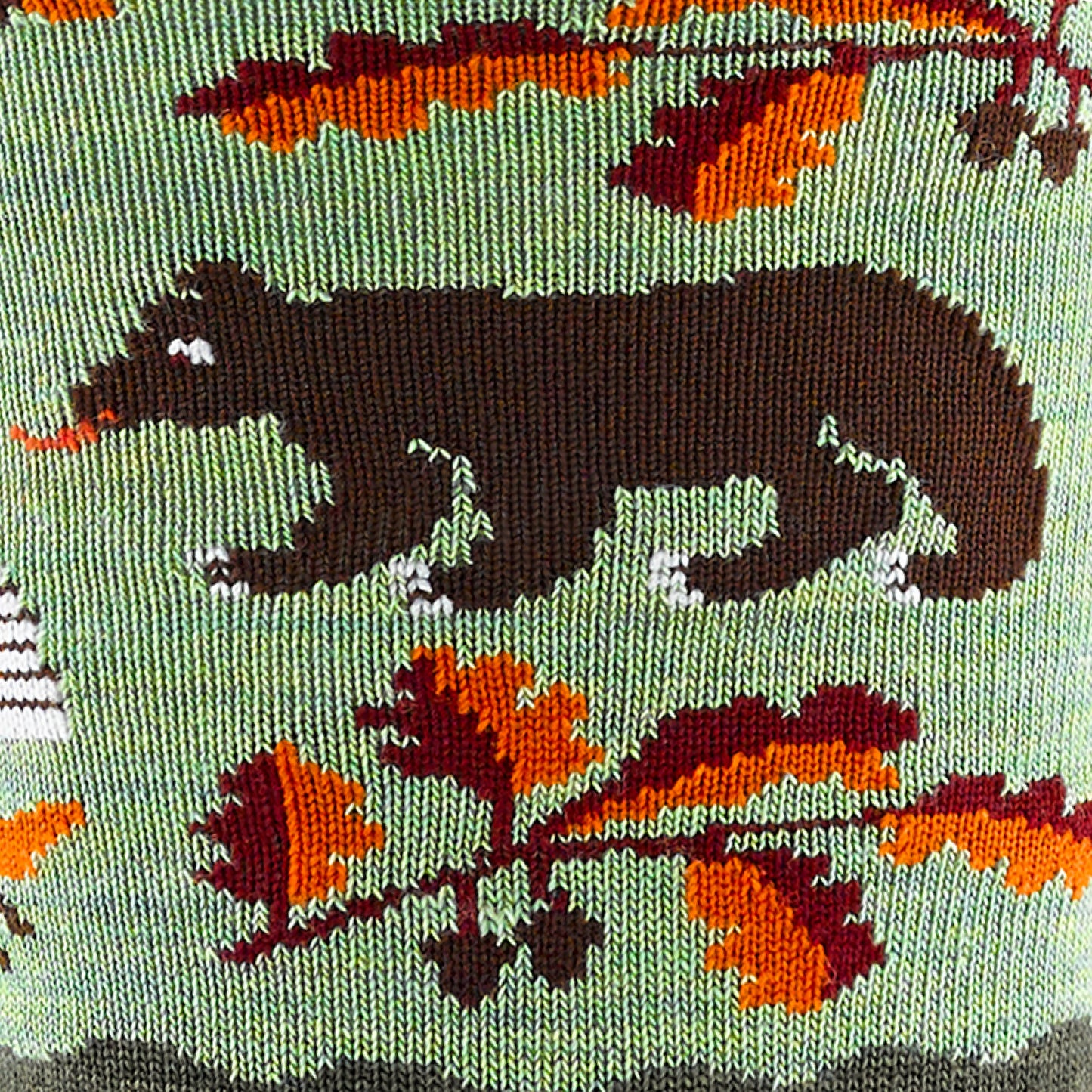 Women's Wild Life Crew Lightweight Lifestyle Socks | Darn Tough