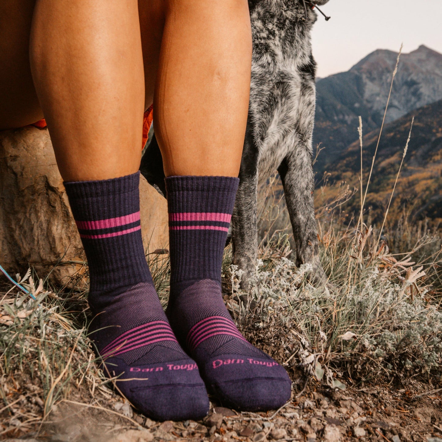 Women's Element Micro Crew Lightweight Running Socks | Darn Tough
