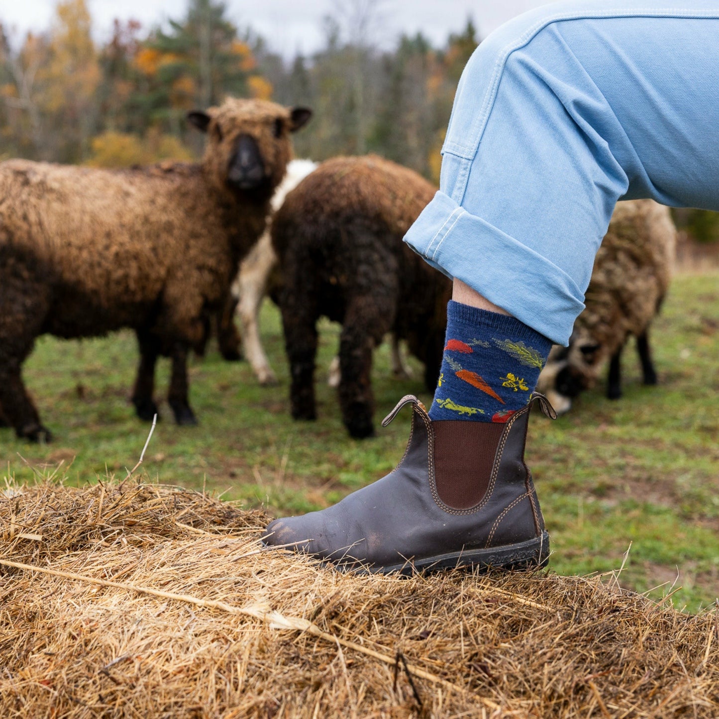 Women's Farmer's Market Crew Lightweight Lifestyle Socks | Darn Tough