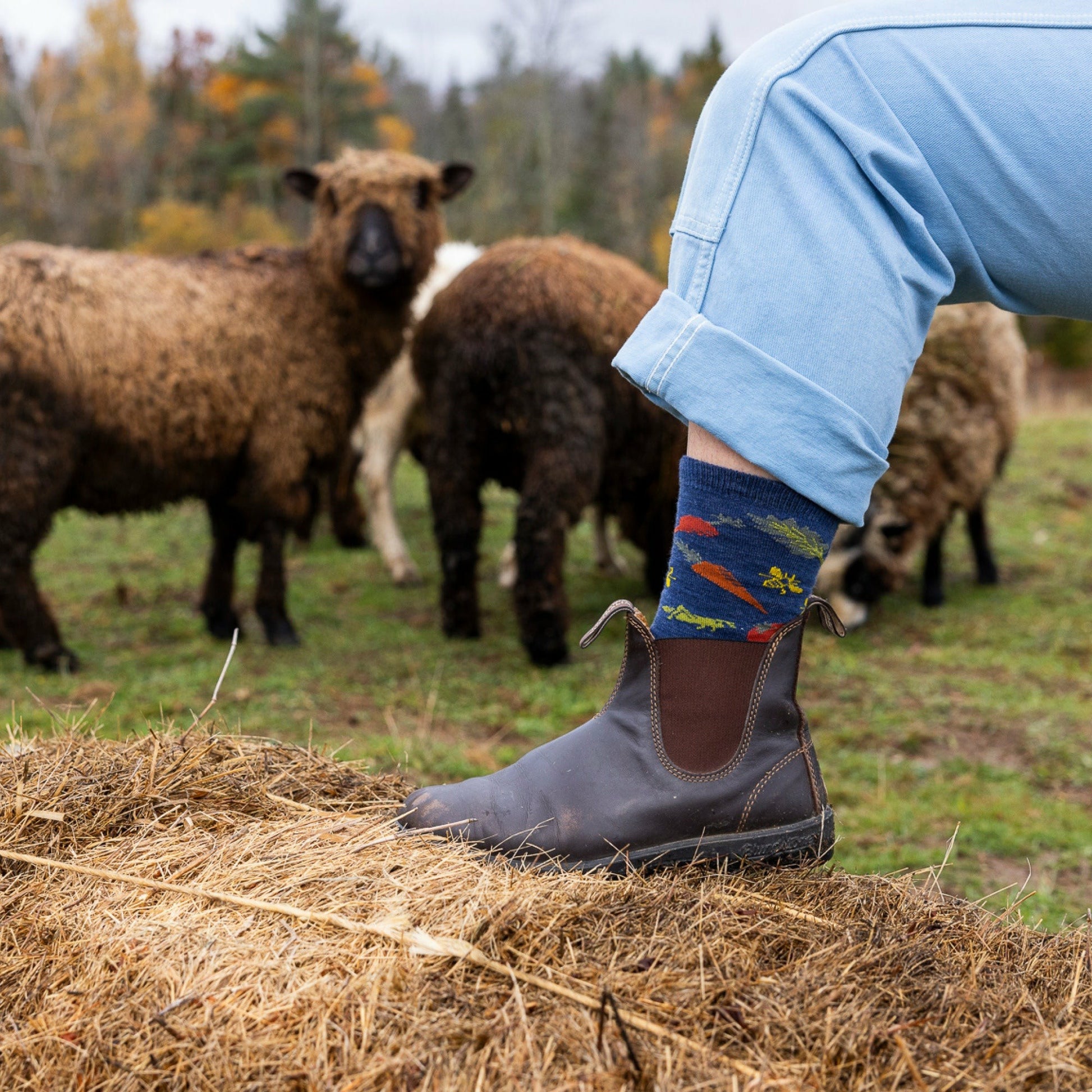 Women's Farmer's Market Crew Lightweight Lifestyle Socks | Darn Tough