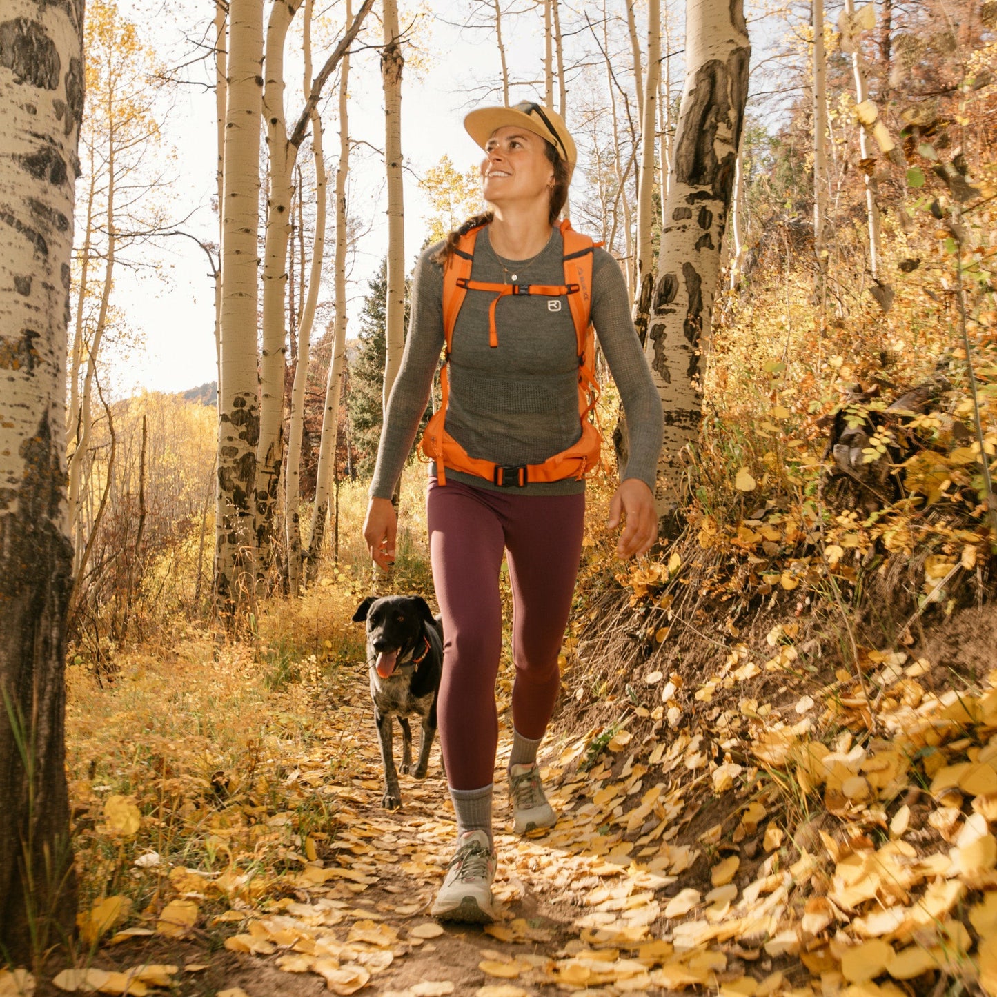 Women's Hiker Micro Crew Midweight Hiking Socks | Darn Tough