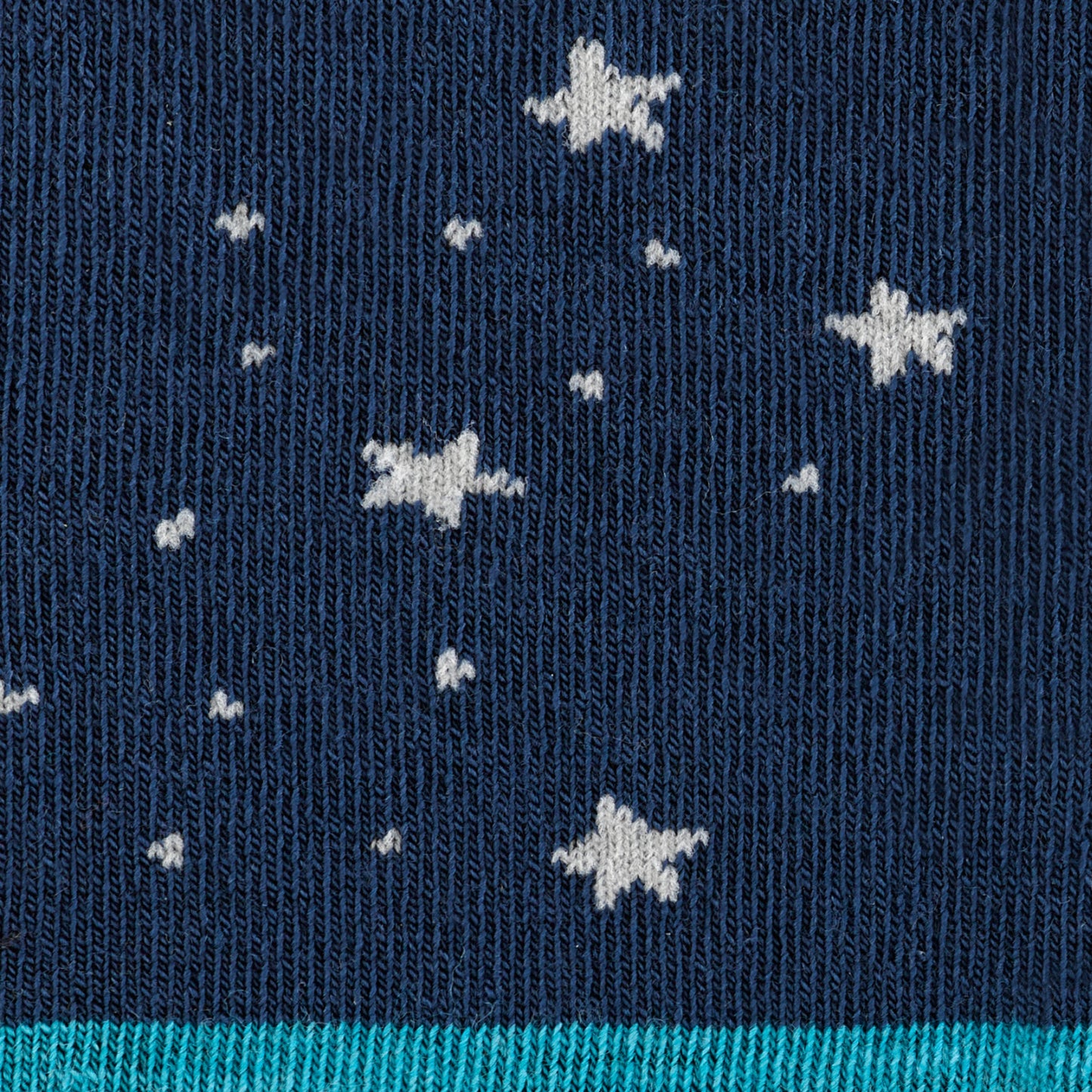 Women's Animal Haus Crew Lightweight Lifestyle Socks | Darn Tough