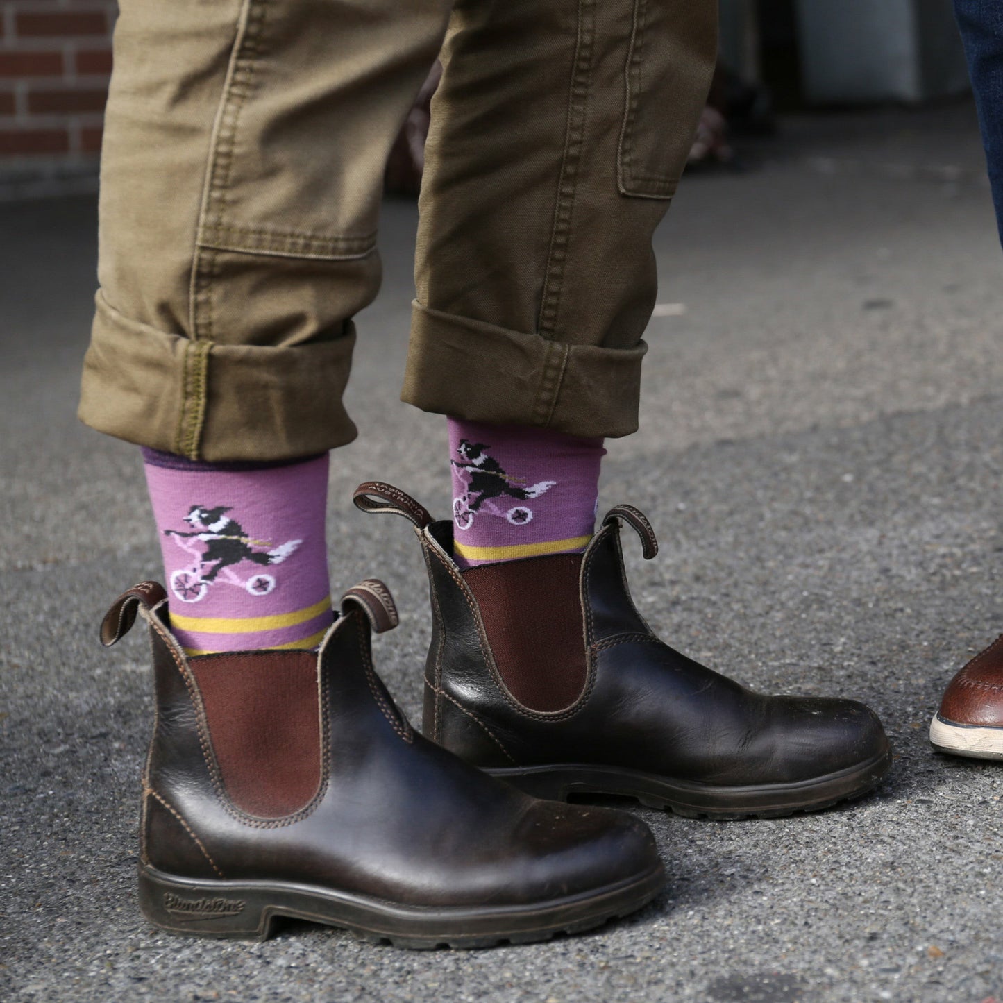 Women's Animal Haus Crew Lightweight Lifestyle Socks | Darn Tough