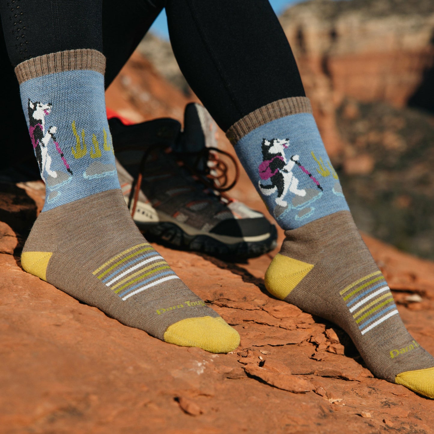 Women's Critter Club Micro Crew Lightweight Hiking Socks | Darn Tough