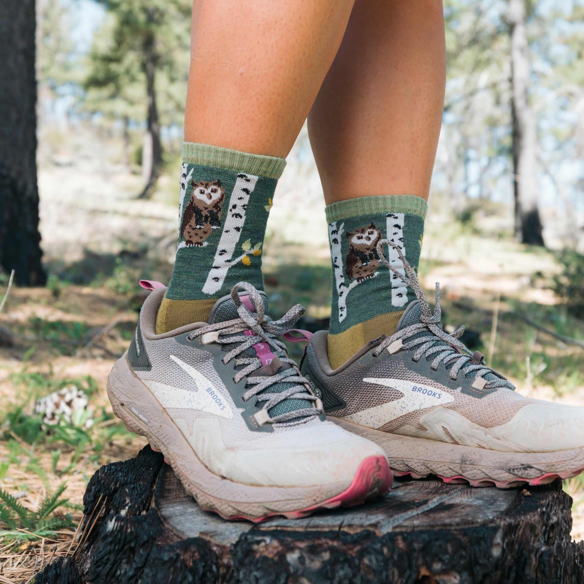 Women's Critter Club Micro Crew Lightweight Hiking Socks | Darn Tough