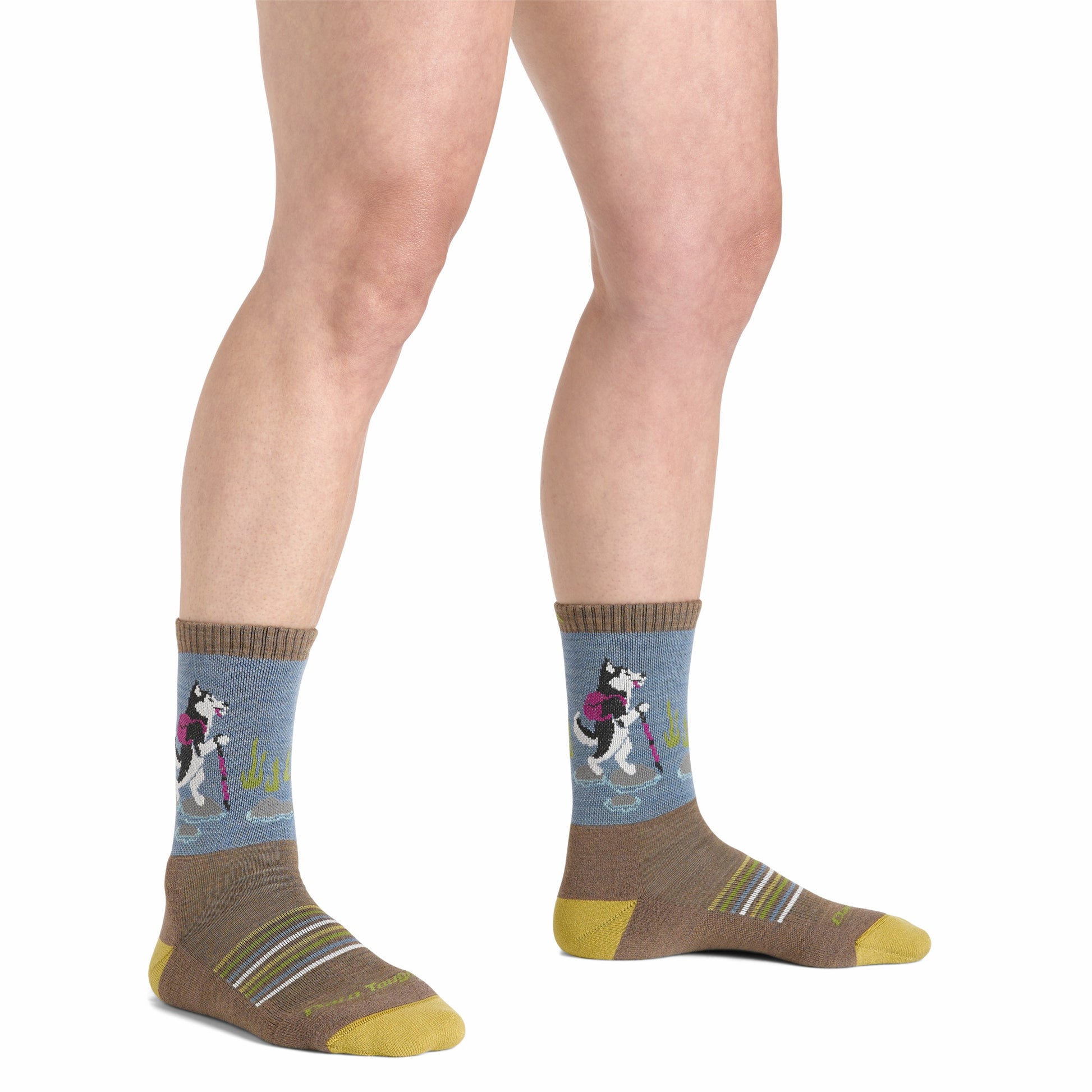Women's Critter Club Micro Crew Lightweight Hiking Socks | Darn Tough