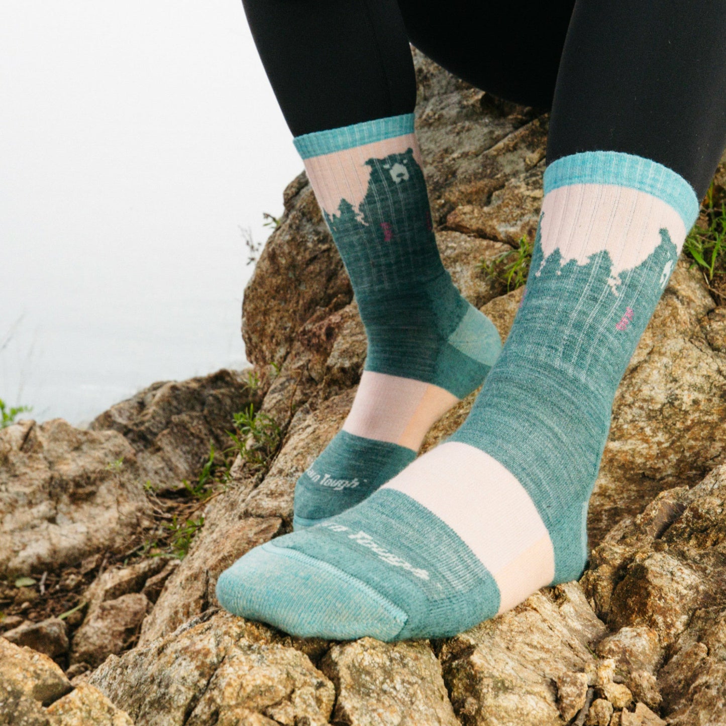 Women's Bear Town Micro Crew Lightweight Hiking Socks | Darn Tough