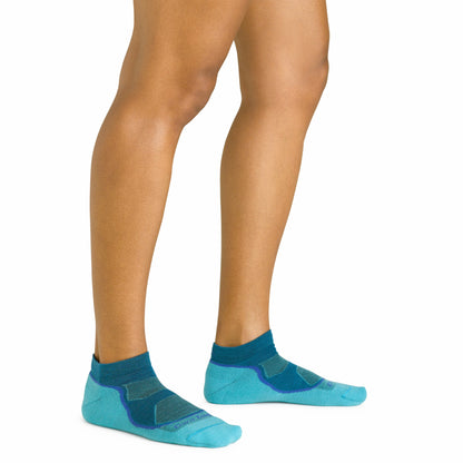 Women's Light Hiker No Show Lightweight Hiking Socks | Darn Tough