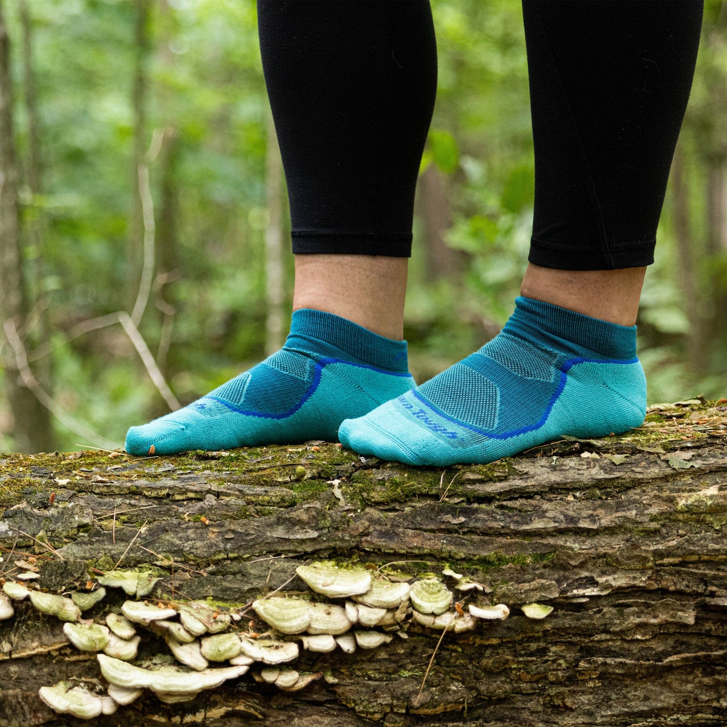 Women's Light Hiker No Show Lightweight Hiking Socks | Darn Tough