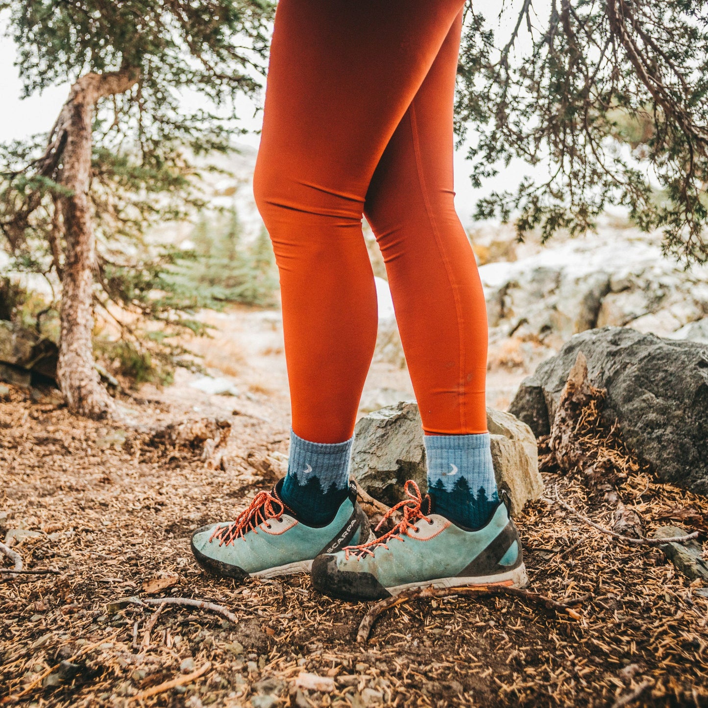 Women's Treeline Micro Crew Midweight Hiking Socks | Darn Tough