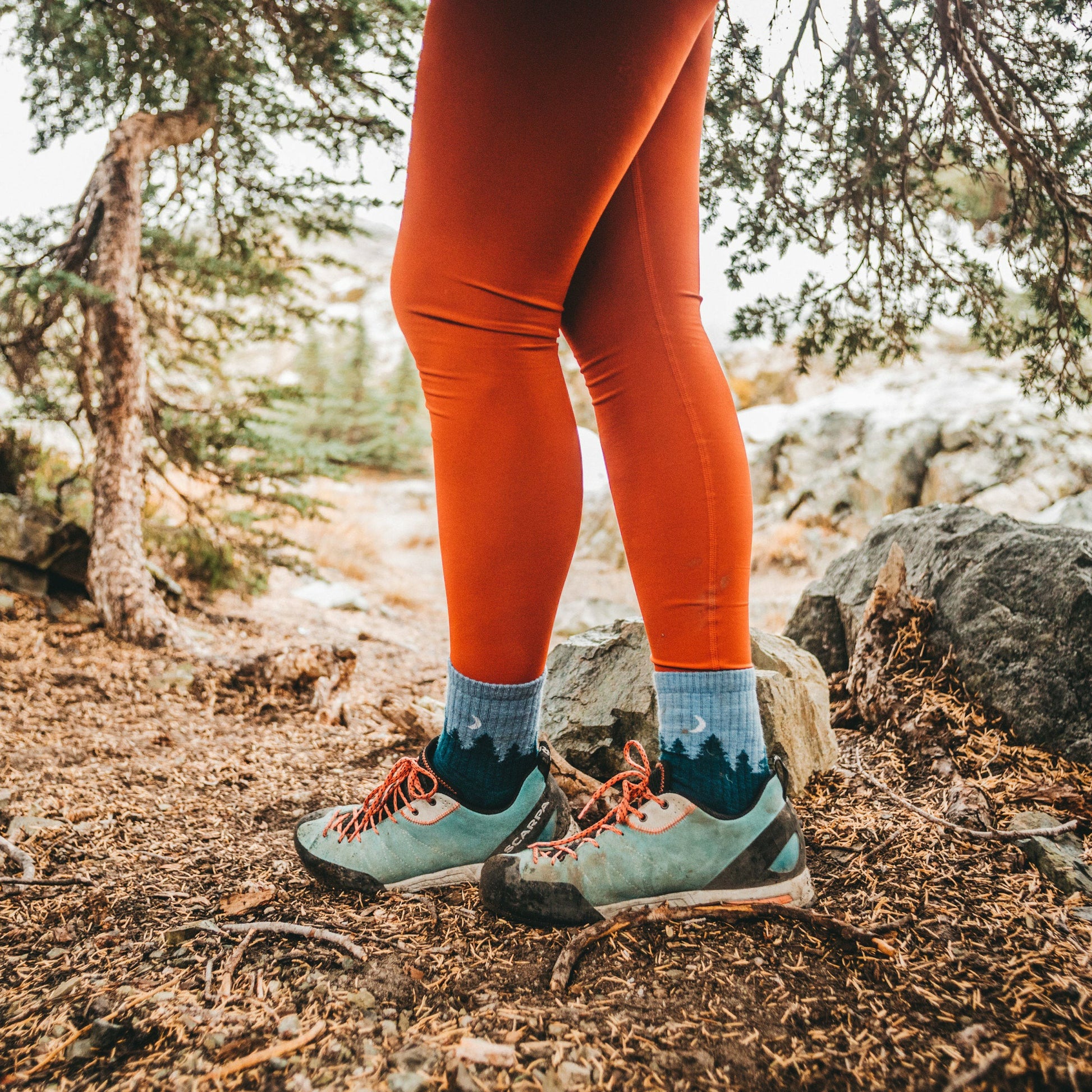 Women's Treeline Micro Crew Midweight Hiking Socks | Darn Tough
