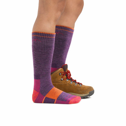 Women's Hiker Boot Full Cushion Midweight Hiking Socks | Darn Tough