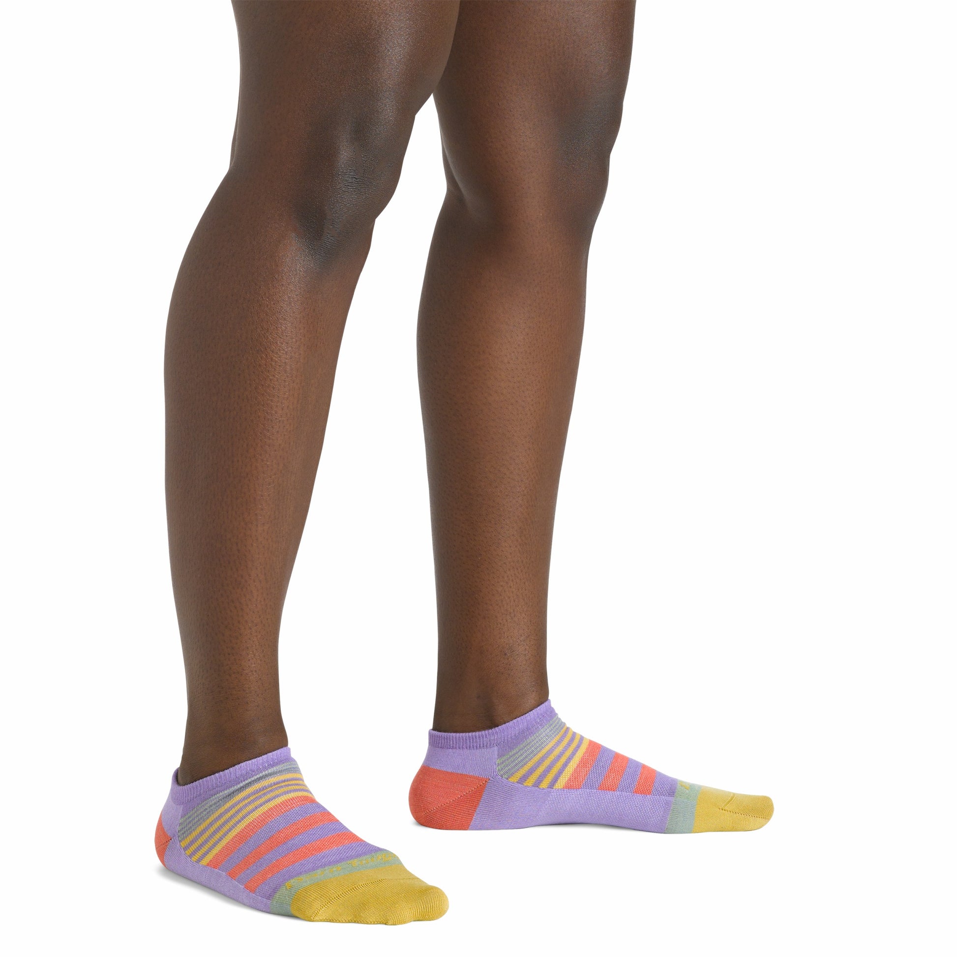 Women's Beachcomber No Show Lightweight Lifestyle Socks | Darn Tough