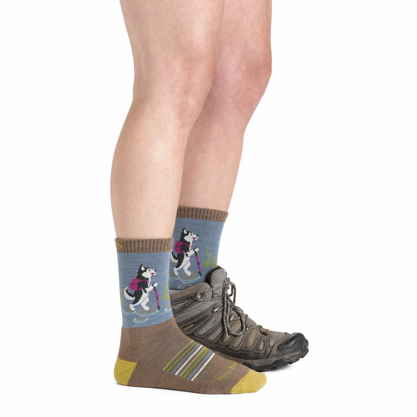 Women's Critter Club 2-Pack Hiking Socks | Darn Tough