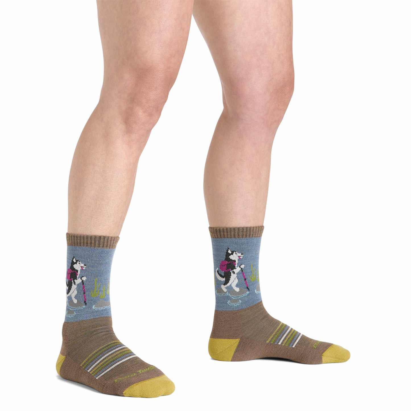 Women's Critter Club 2-Pack Hiking Socks | Darn Tough
