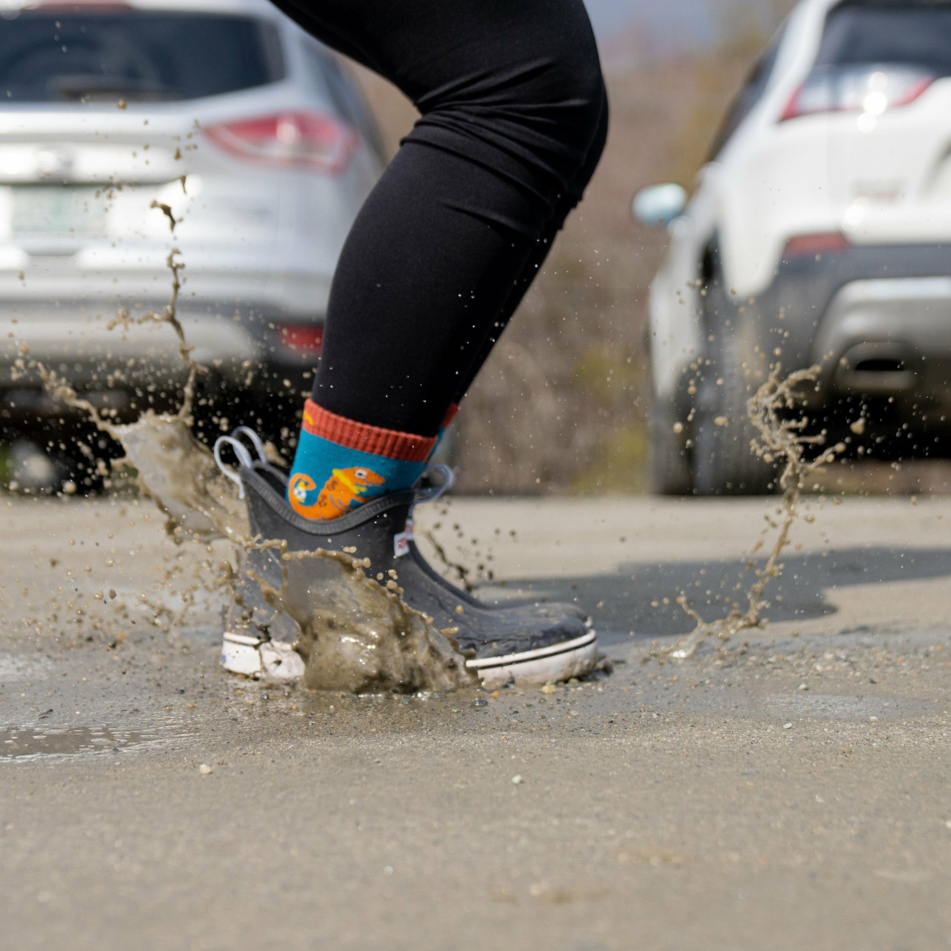 Kids Sal Micro Crew Lightweight Hiking Socks | Darn Tough