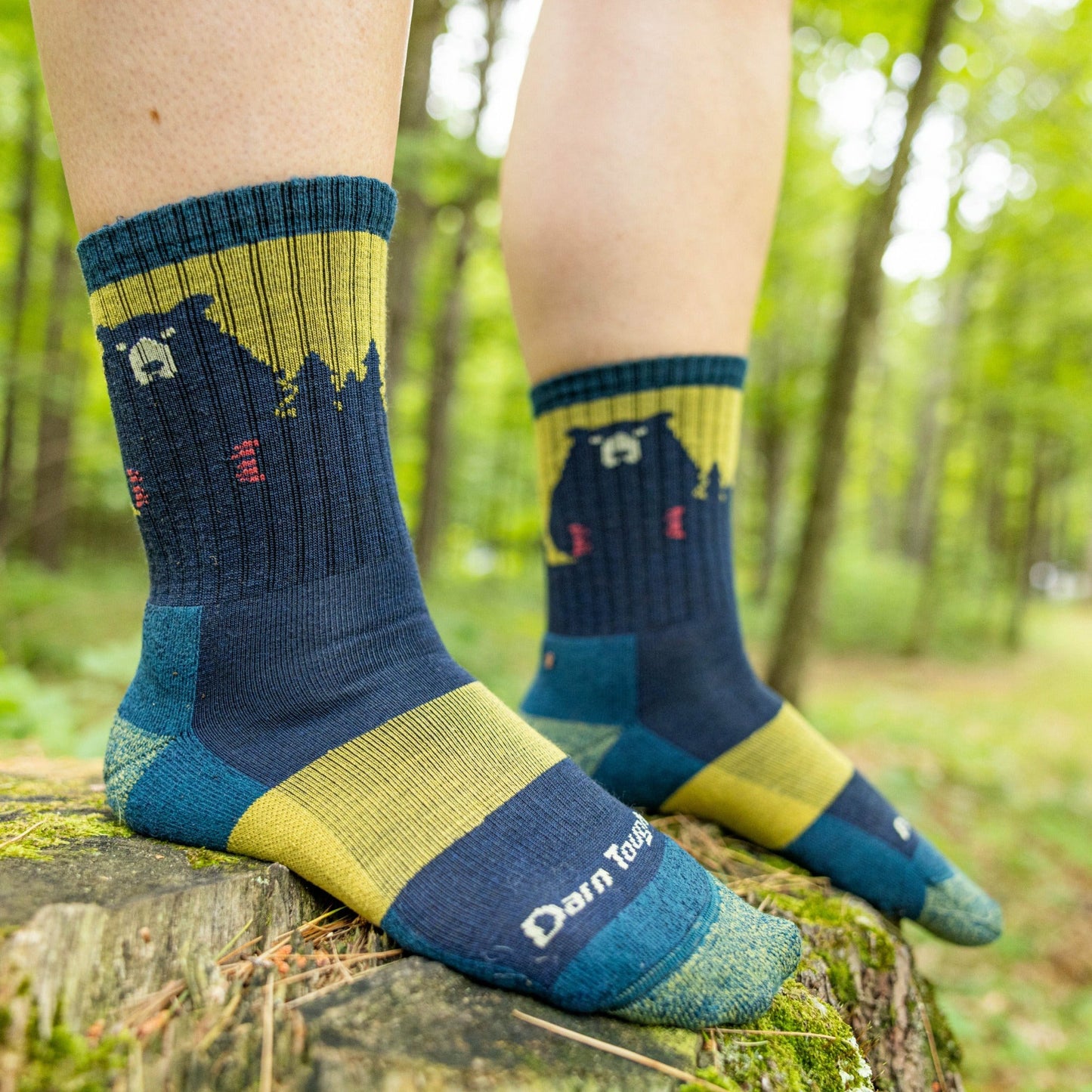 Women's Nature 2-Pack Hiking Socks | Darn Tough