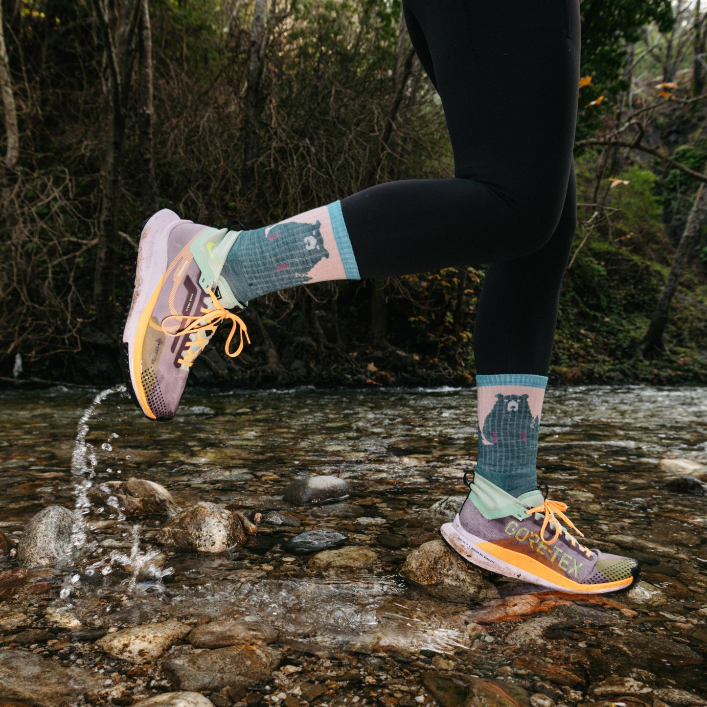 Women's Nature 2-Pack Hiking Socks | Darn Tough