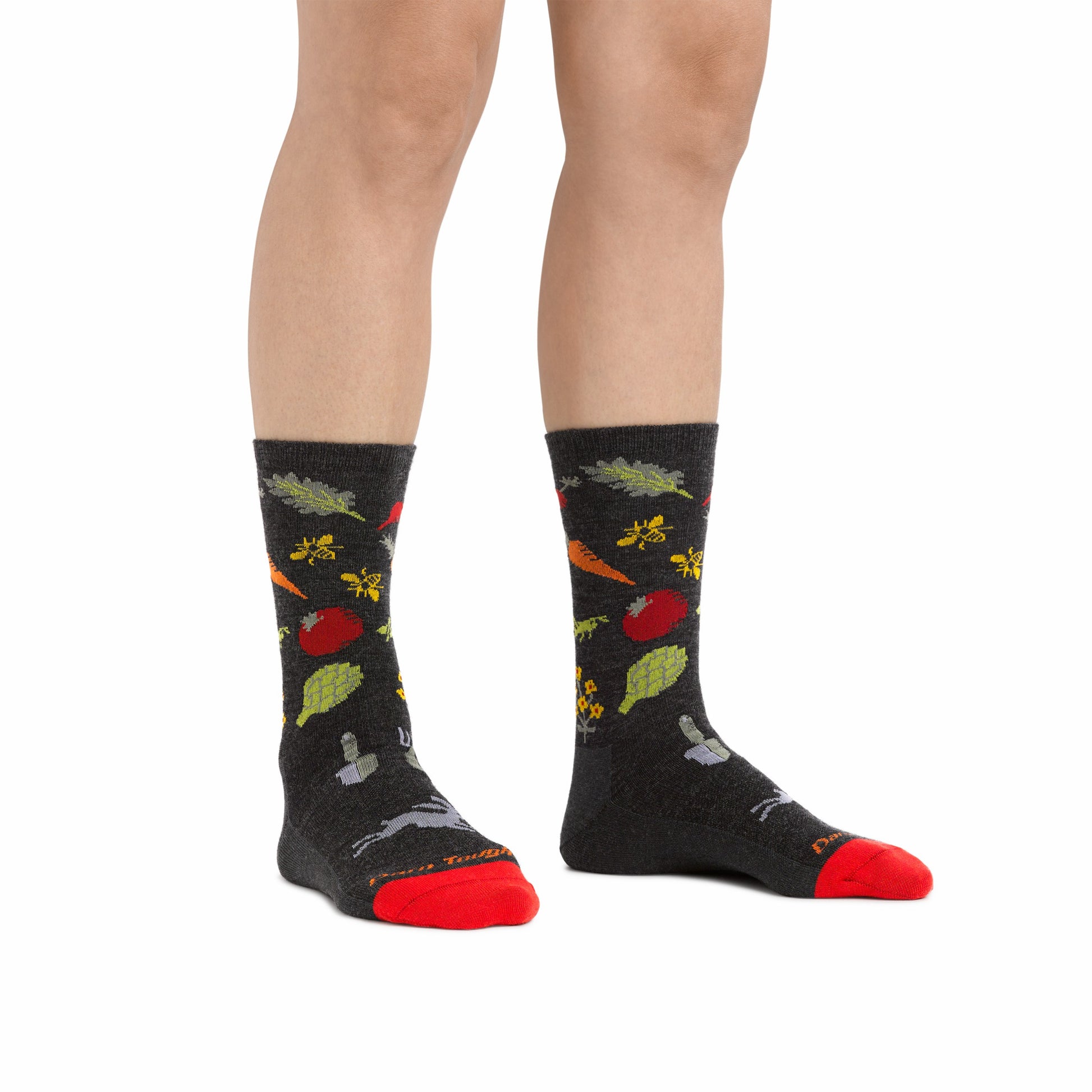 Women's Lightweight Lifestyle 2-Pack | Darn Tough