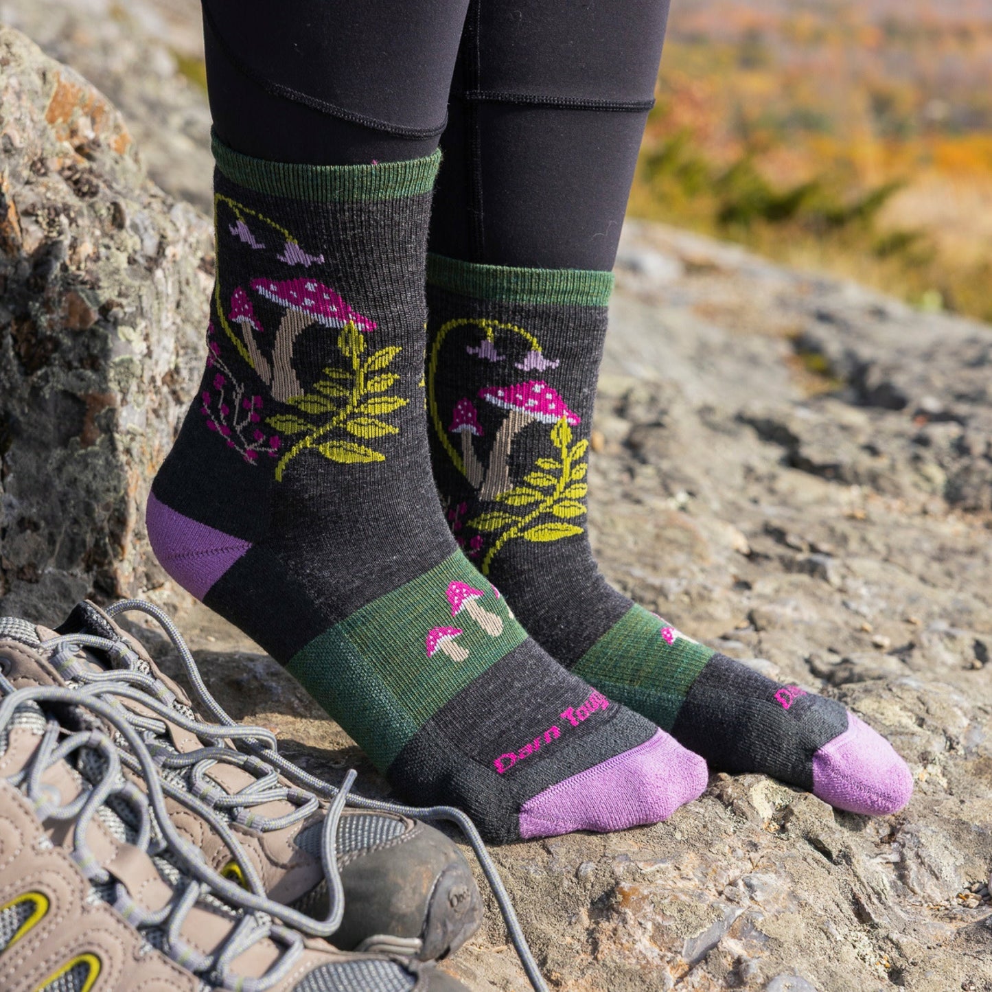 Women's Mellow Mushrooms Micro Crew Lightweight Hiking Socks | Darn Tough