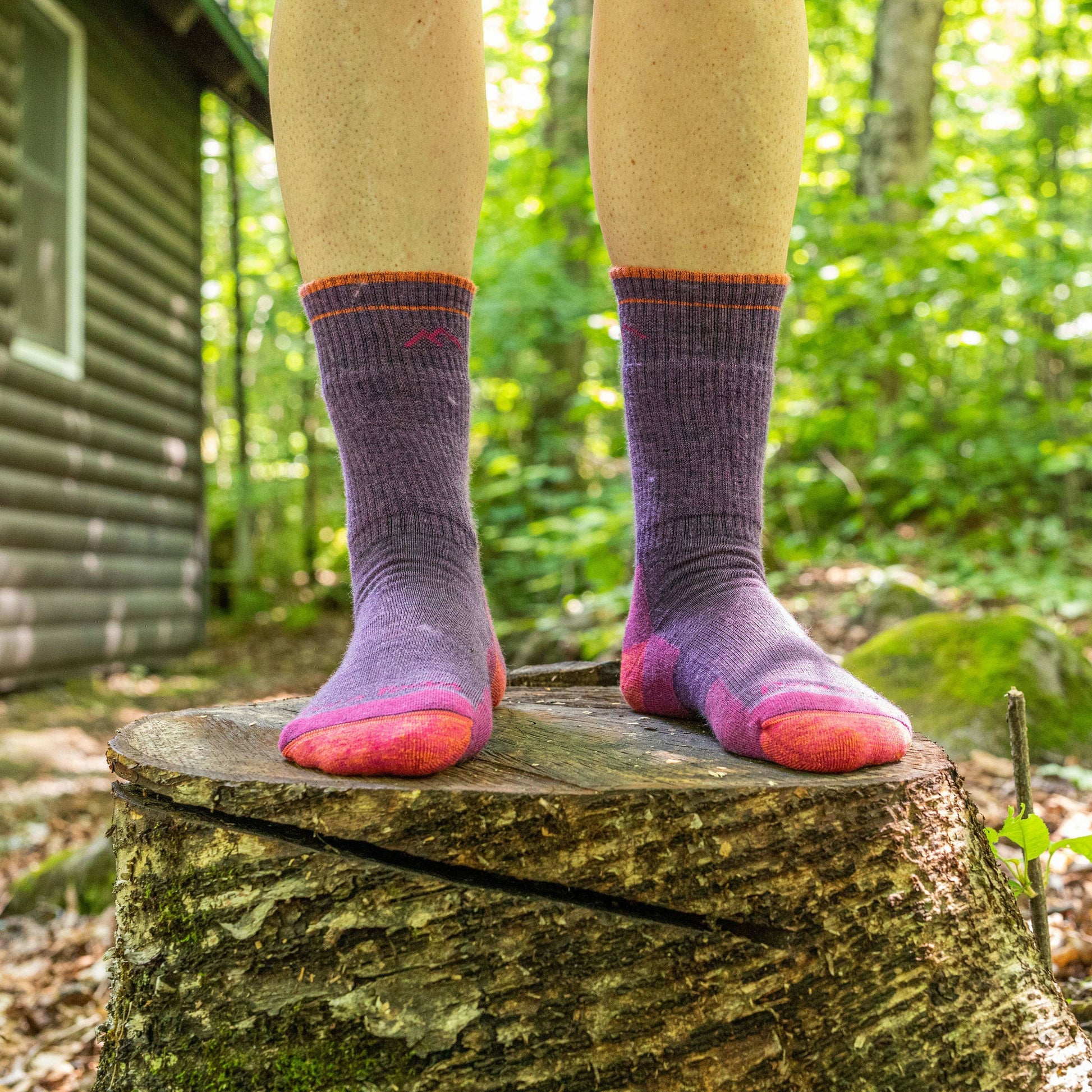 Women's Hiker Boot Midweight Hiking Socks | Darn Tough