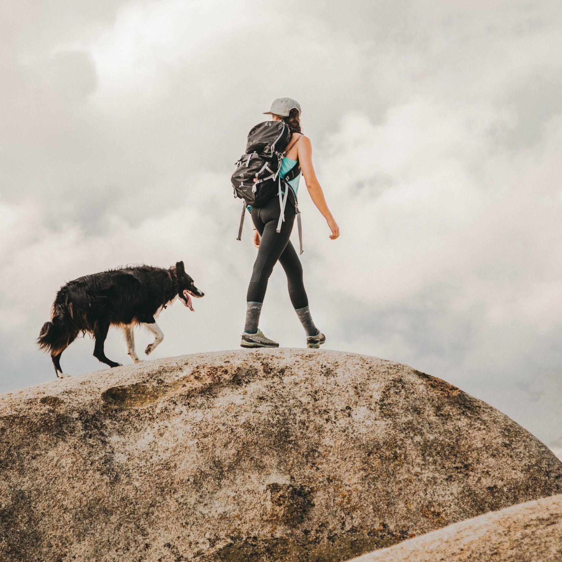 Women's Hiker Boot Midweight Hiking Socks | Darn Tough